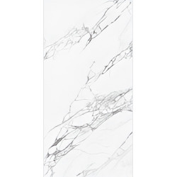 Керамогранит NT Ceramic NTT99528P Artic statuario Glossy 60x120