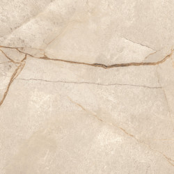 Керамогранит LCM 60120PEC11P Special Marmo Beige 60x120