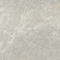 Керамогранит Neodom N20584 Marble Soya Silver Carving 80x160
