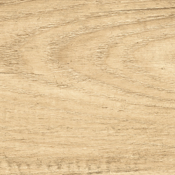 Керамогранит NewTrend Sunbau Oak 15x60