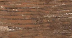 Керамогранит Alpas Euro n159008 Wood Kiwi Redroot Mat 20x120
