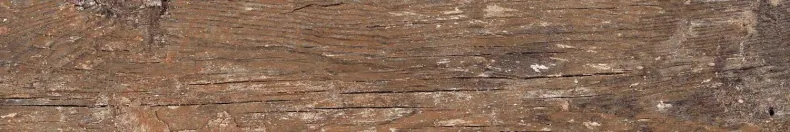 Керамогранит Alpas Euro n159008 Wood Kiwi Redroot 20x120