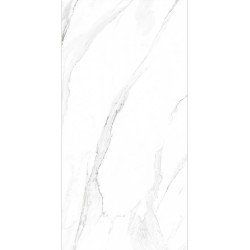 Керамогранит Art Ceramic Roman Elite Glossy 60x120