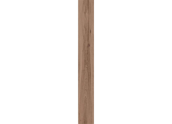 Керамогранит Atlas Concorde Russia 610010002249 Rive Bella Riva Ret 20x160