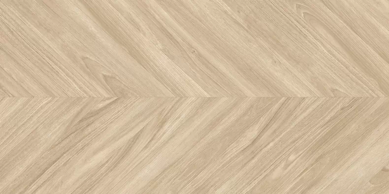 Керамогранит Geotiles Ebony Haya 60x120