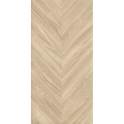 Керамогранит Geotiles Ebony Haya 60x120