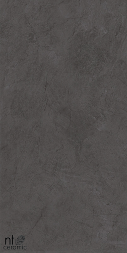 Керамогранит NT Ceramic  NTT99615L Granite Obelisk Gris 60x120