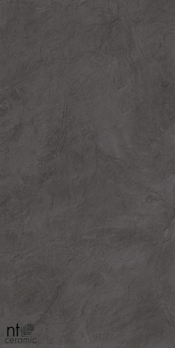 Керамогранит NT Ceramic  NTT99615L Granite Obelisk Gris 60x120