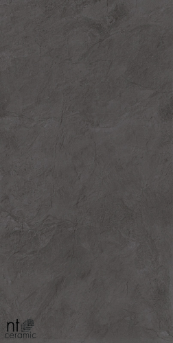 Керамогранит NT Ceramic  NTT99615L Granite Obelisk Gris 60x120