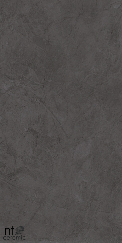 Керамогранит NT Ceramic  NTT99615L Granite Obelisk Gris 60x120