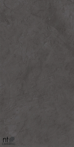 Керамогранит NT Ceramic  NTT99615L Granite Obelisk Gris 60x120