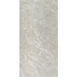 Керамогранит Neodom N20555 Marble Aristo Grey Tm 60x120