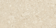 Керамогранит Duna RP-238599 Ceppo Di Clay GHR 60x120