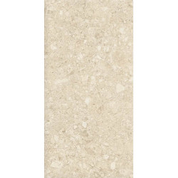 Керамогранит Duna RP-238599 Ceppo Di Clay GHR 60x120