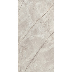 Керамогранит Neodom N80016 Marble Silver Stone Carving 60x120