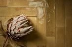 Керамогранит Ragno Marazzi 00R8FP36 Look Beige Glossy 24x6