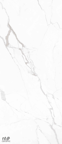 Керамогранит NT Ceramic NTT3605P Marble White 120x280