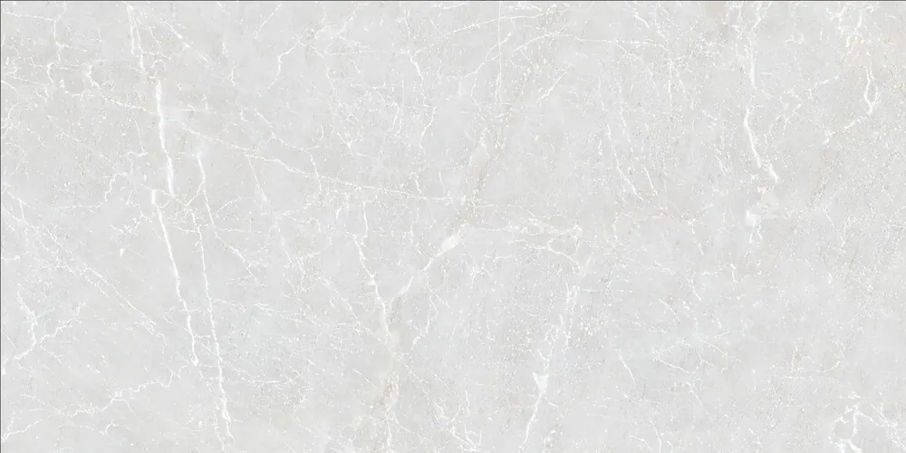 Керамогранит Duna RP-238577 Eternal Blanco Carving 60x120