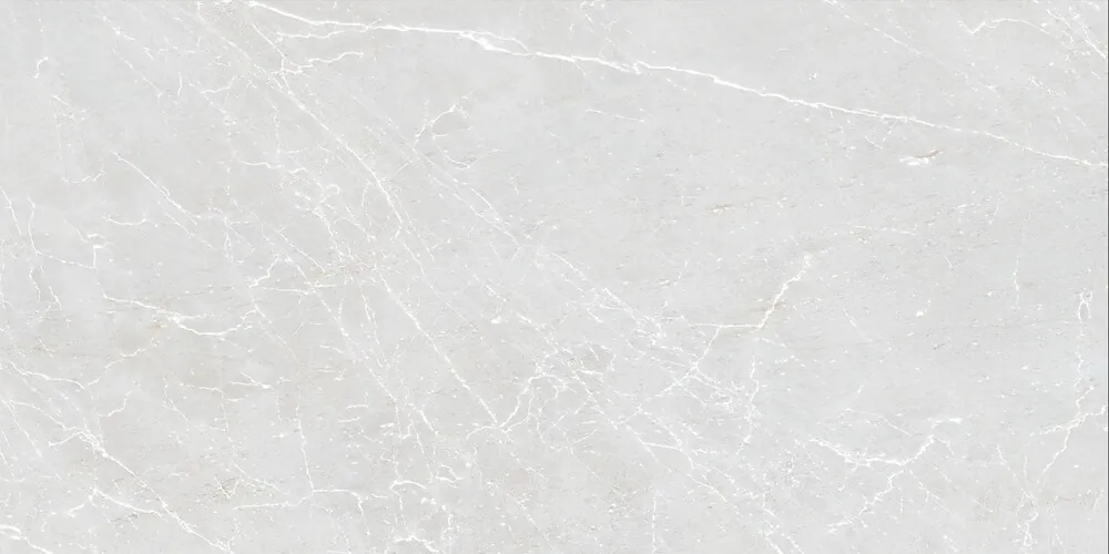 Керамогранит Duna RP-238577 Eternal Blanco Carving 60x120