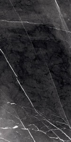 Керамогранит Primavera Fedele Negro GR203 60x120