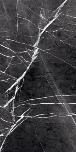 Керамогранит Primavera Fedele Negro GR203 60x120