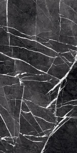 Керамогранит Primavera Fedele Negro GR203 60x120