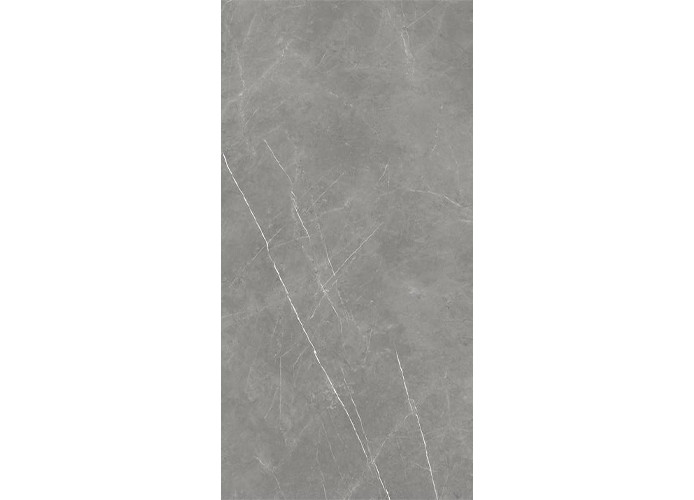 Керамогранит Atlas Concorde Russia 610015000665 Forte dei Marmi Elegant Grey Lapp 80x160