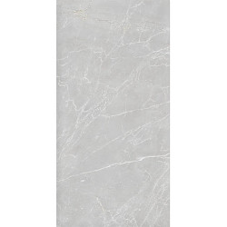 Керамогранит Duna RP-238576 Eternal Grigio Carving 60x120
