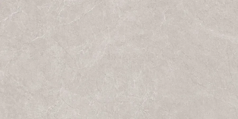 Керамогранит Neodom N20497 Stone Aristo Grey Tm 80x160