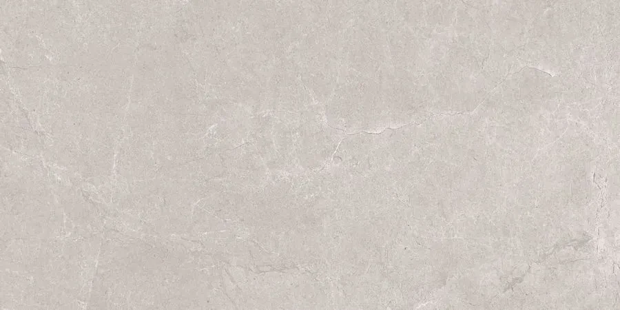 Керамогранит Neodom N20497 Stone Aristo Grey Tm 80x160