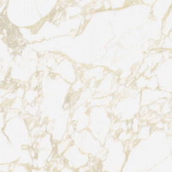 Керамогранит 41ZERO42 4100710 Pulp Gold Raw 60x120