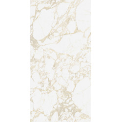 Керамогранит 41ZERO42 4100710 Pulp Gold Raw 60x120