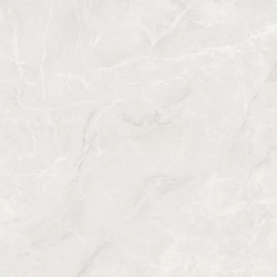 Керамогранит Ceradim х9999302393 Mramor Princess White Светло-серый Полированный 60х120