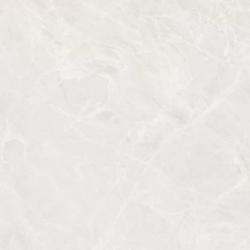 Керамогранит Ceradim х9999302393 Mramor Princess White Светло-серый Полированный 60х120