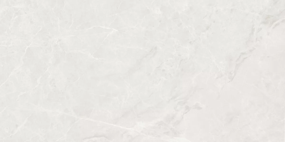 Керамогранит Ceradim х9999302393 Mramor Princess White Светло-серый Полированный 60х120