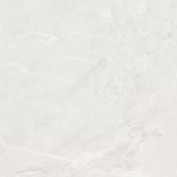 Керамогранит Ceradim х9999302393 Mramor Princess White Светло-серый Полированный 60х120