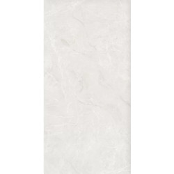 Керамогранит Ceradim х9999302393 Mramor Princess White Светло-серый Полированный 60х120