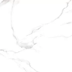 Керамогранит Alma Ceramica GFU60120CRR00R Carrara 60х120