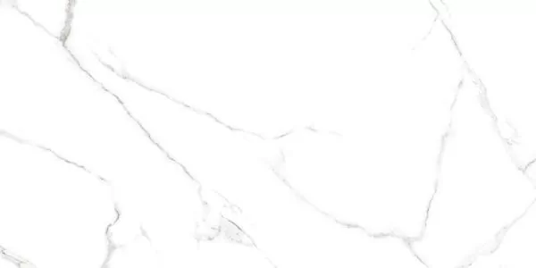 Керамогранит Alma Ceramica GFU60120CRR00R Carrara 60х120