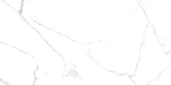 Керамогранит Alma Ceramica GFU60120CRR00R Carrara 60х120