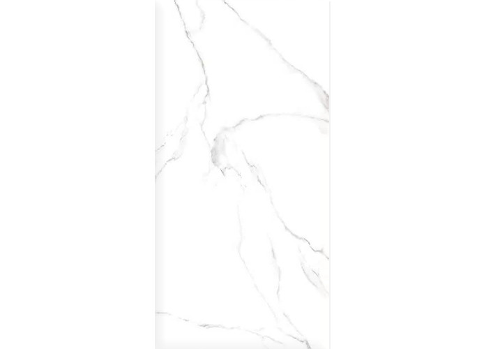 Керамогранит Alma Ceramica GFU60120CRR00R Carrara 60х120