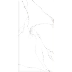 Керамогранит Alma Ceramica GFU60120CRR00R Carrara 60х120