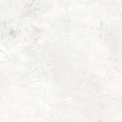 Керамогранит NT Ceramic NTT9403DDG Lavarsaz Ancient Rome 60x120