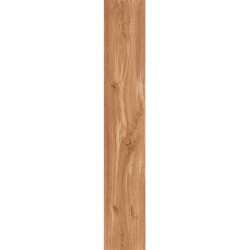 Керамогранит Atlas Concorde Russia 610010002297 Rive Dolce Riva Ret 20x120