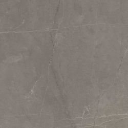 Керамогранит Ceradim х9999301504 Stone Micado Grey Серый Полированный 60х60