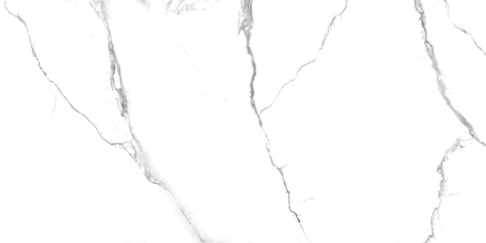 Керамогранит Primavera Acothly Polished Pr234 60x120