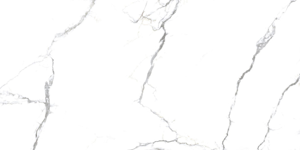 Керамогранит Primavera Acothly Polished Pr234 60x120