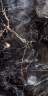 Керамогранит Primavera Toledo Black GR201 60x120