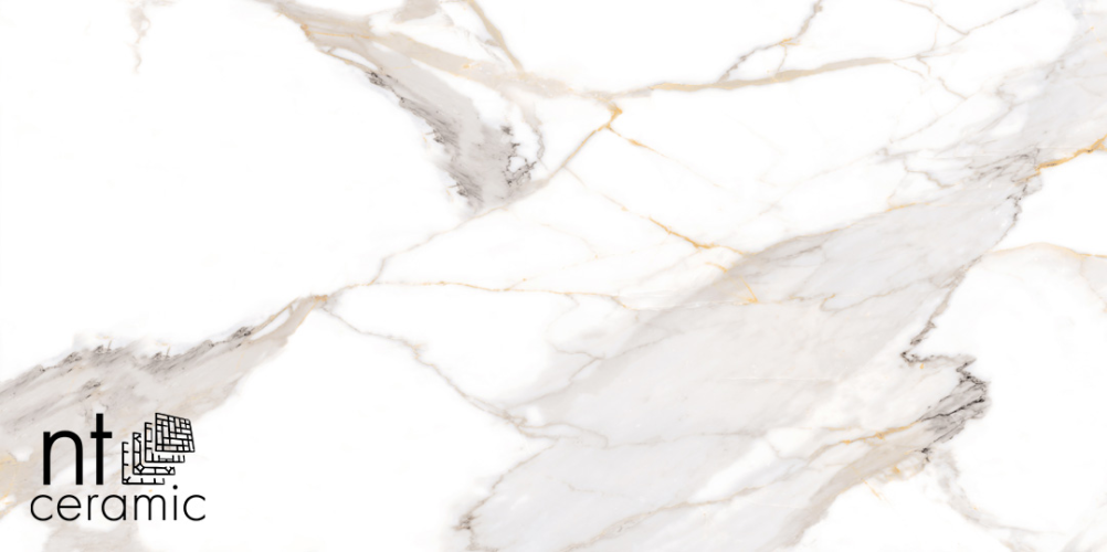 Керамогранит NT Ceramic NTT9120M Calacatta Light Grey mat 60x120