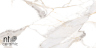 Керамогранит NT Ceramic NTT9120M Calacatta Light Grey mat 60x120